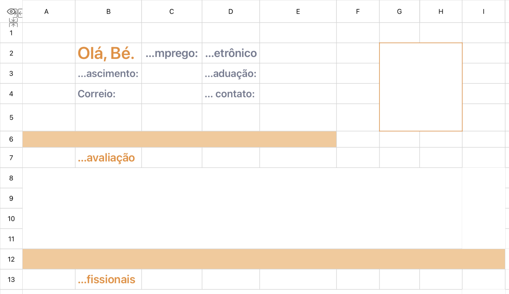 Currículo do Comissário de Operações